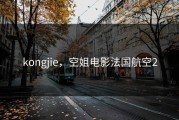 kongjie，空姐电影法国航空2