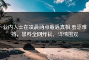 业内人士在凌晨两点遭遇真相 羞涩难挡，黑料全网炸锅，详情围观