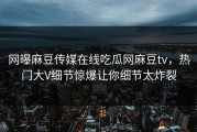 网曝麻豆传媒在线吃瓜网麻豆tv，热门大V细节惊爆让你细节太炸裂