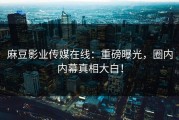麻豆影业传媒在线：重磅曝光，圈内内幕真相大白！