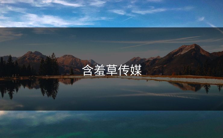 含羞草传媒 含羞草传媒