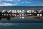 爆料站麻豆重磅来袭！麻豆影业传媒在线热议神秘人秘闻真相大白，真相大白