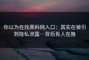 你以为在找黑料网入口：其实在被引到隐私泄露…背后有人在推