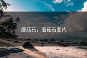 蘑菇石，蘑菇石图片