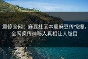 震惊全网！麻豆社区本周麻豆传惊爆，全网疯传神秘人真相让人瞠目