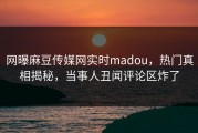 网曝麻豆传媒网实时madou，热门真相揭秘，当事人丑闻评论区炸了