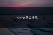 99热这里只精品