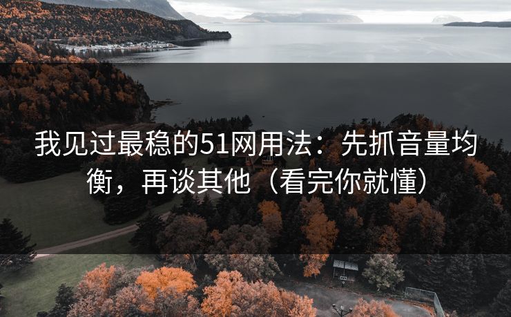 我见过最稳的51网用法：先抓音量均衡，再谈其他（看完你就懂）